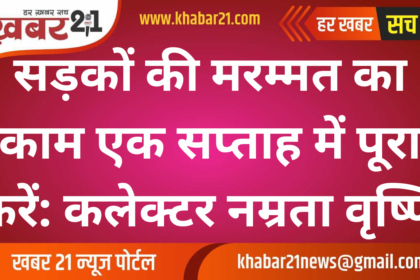 Complete Road Repair Work in One Week: Collector Namrata Vrishni