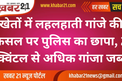 Police Raid Reveals Thriving Cannabis Farming, Over 2 Quintals Seized