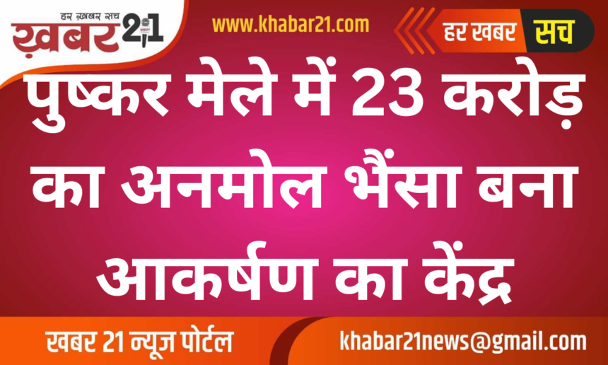 Anmol the 23-Crore Buffalo Becomes the Highlight of Pushkar Fair