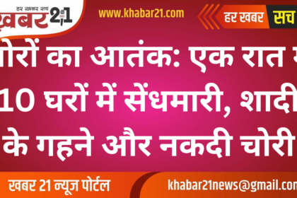 Theft Spree in Shri Dungargarh: Burglars Target 10 Houses in a Single Night