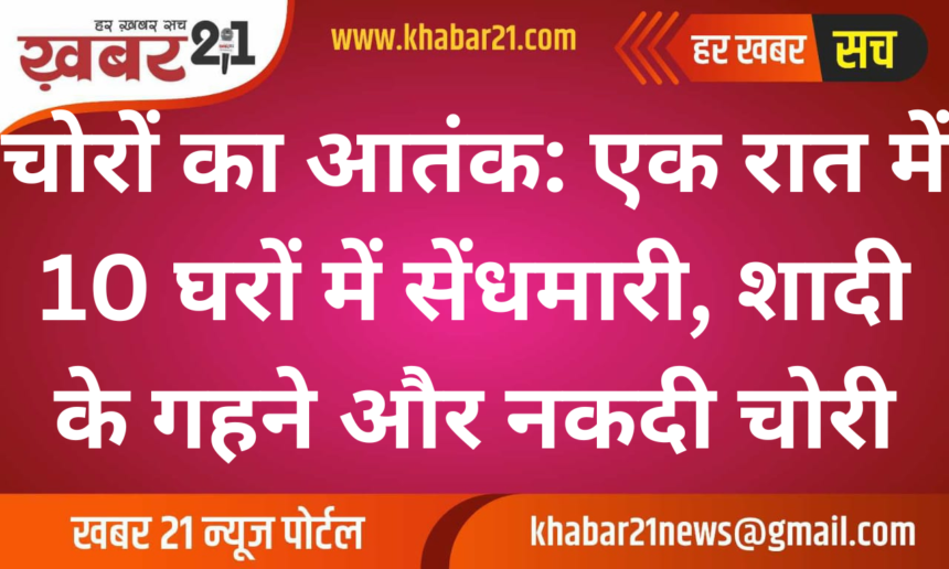 Theft Spree in Shri Dungargarh: Burglars Target 10 Houses in a Single Night