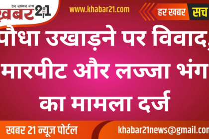 Dispute Over Plant Removal Leads to Assault and Outrage of Modesty