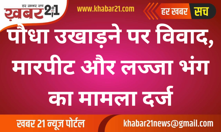 Dispute Over Plant Removal Leads to Assault and Outrage of Modesty