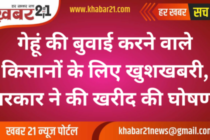 Good News for Wheat Farmers, Government Announces Purchase Plan