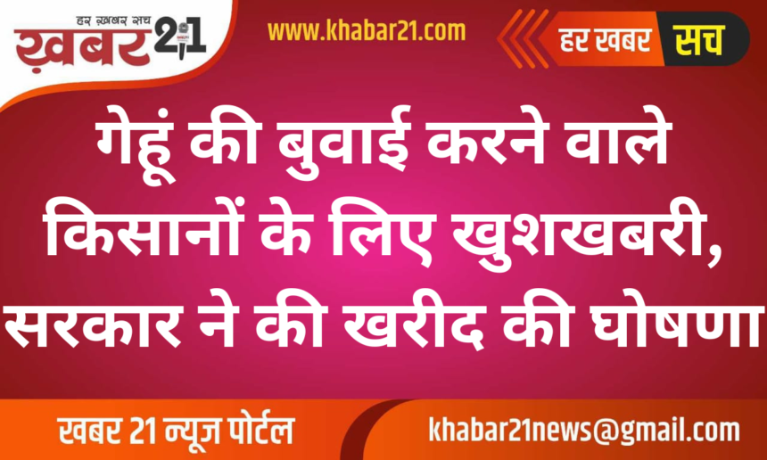 Good News for Wheat Farmers, Government Announces Purchase Plan