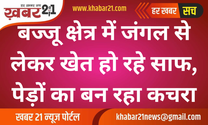 In Bajju area, from forests to fields are being cleaned, trees are becoming waste