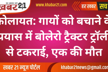 Kolayat: Bolero Collides with Tractor Trolley While Avoiding Cows, One Dead