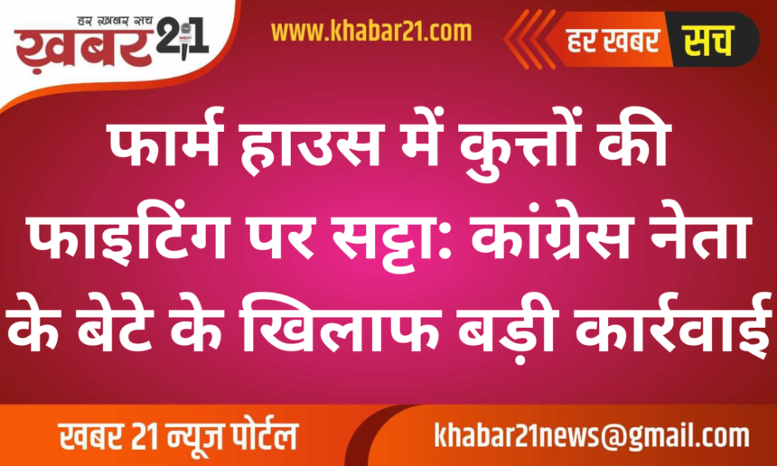 Dog Fighting and Betting at Congress Leader’s Son’s Farmhouse: Major Police Action