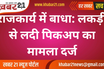 Obstruction in government work: Case registered against pickup loaded with wood