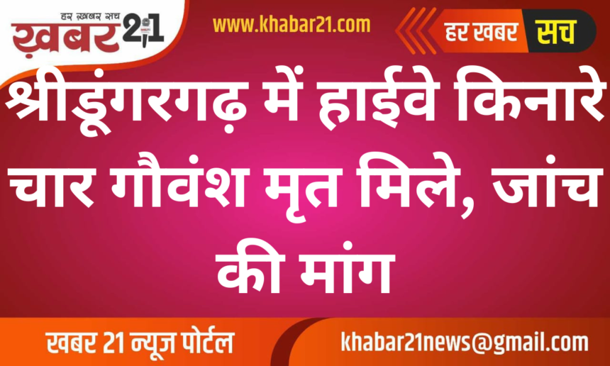 Four Cattle Found Dead Near Highway in Shri Dungargarh, Investigation Demanded