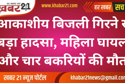 Lightning Strike: Woman Injured and Livestock Lost