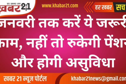 Complete These Important Tasks by January, Else Face Pension Stoppage and Inconvenience