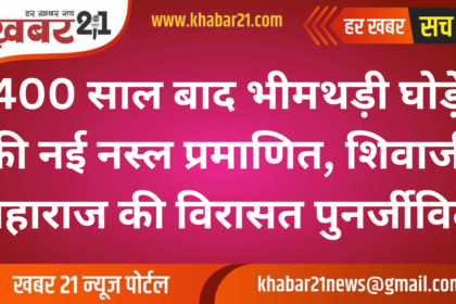 Bhimthadi Horse Recognized After 400 Years, Reviving Shivaji Maharaj's Legacy